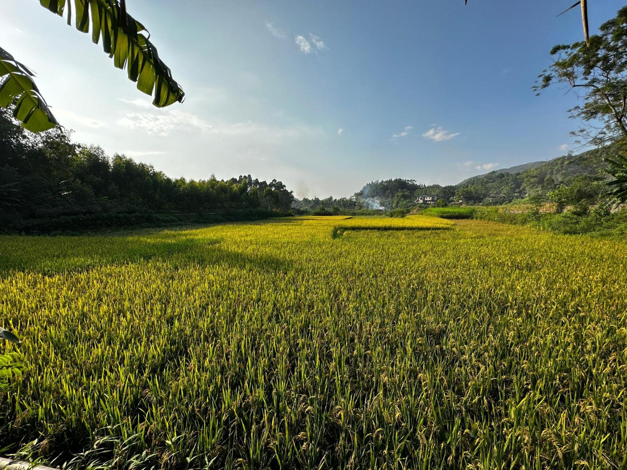 วูลิญ แฟมิลี-โฮมสเตย์ Yen Binh ภายนอก รูปภาพ